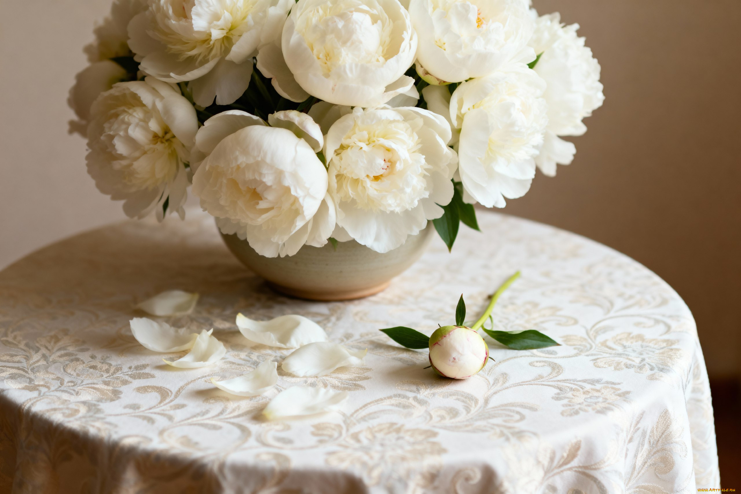 �����, �����